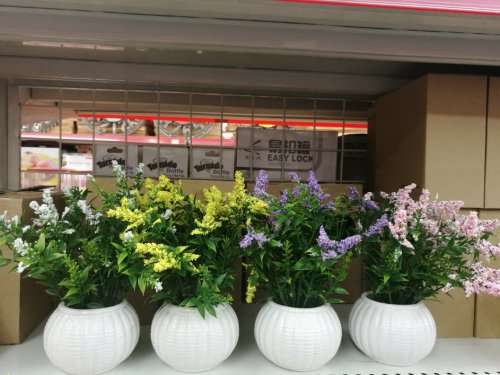 simulation flower plastic plastic flower potted plants R40 EACH IF YOU BUY 10 UNITS